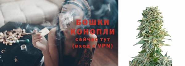 spice Баксан