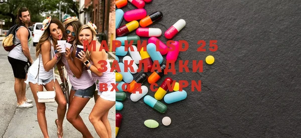 прущие грибы Балабаново