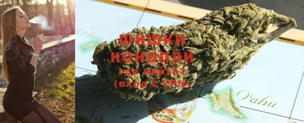 прущие грибы Балабаново