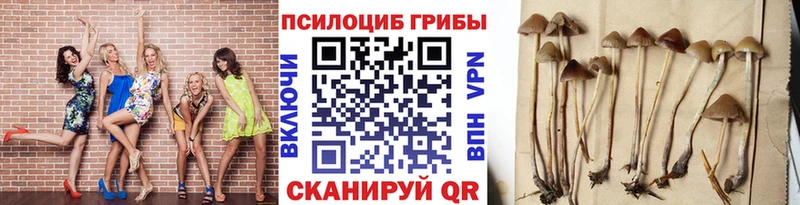 Галлюциногенные грибы MAGIC MUSHROOMS  Курлово 